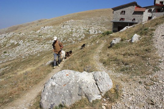 Tour image 11
