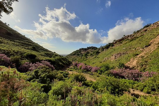 Tour image 11