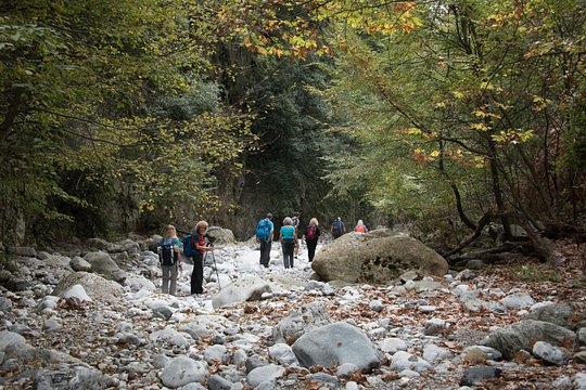 Tour image 12
