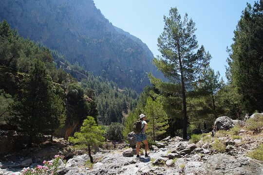Tour image 6