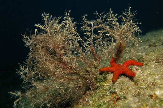 Tour image 5
