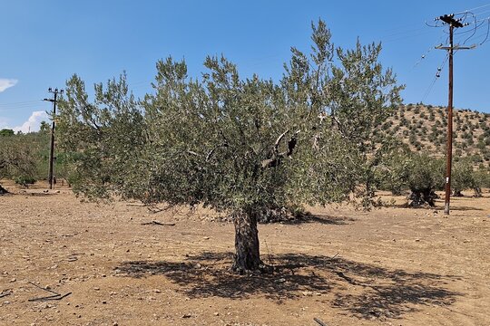 Tour image 10
